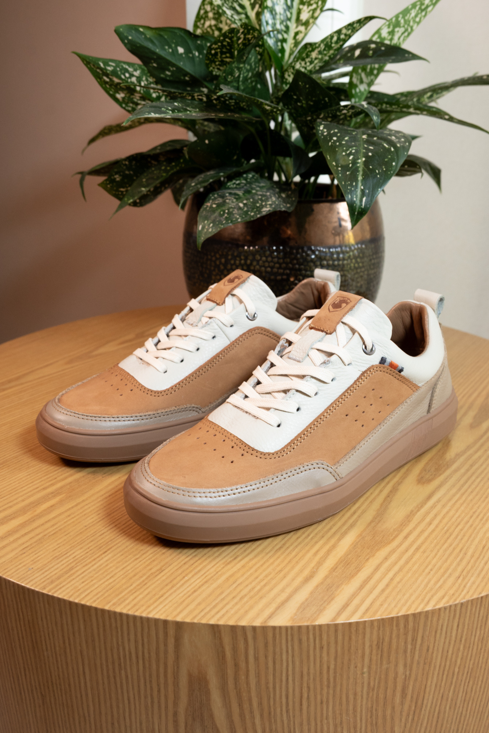 TENIS PARA HOMBRE EN CUERO MIEL REF: RAIN 2142
