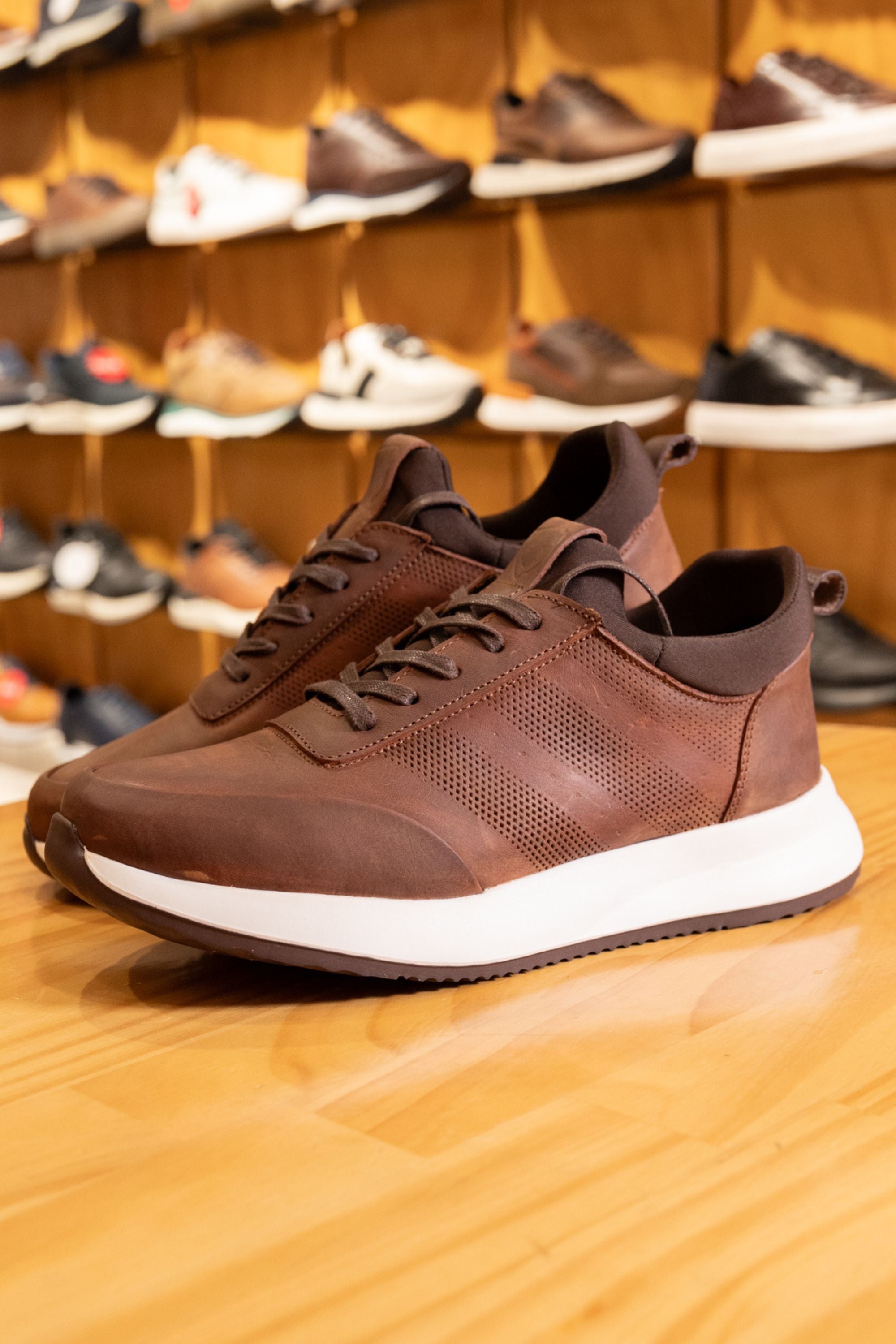 TENIS EN CUERO MIEL ENCERADO PARA HOMBRE REF: FERRARA 3216
